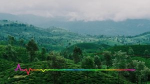 Хава Алиева - Старший сын 2023