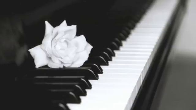 Nord смотреть онлайн