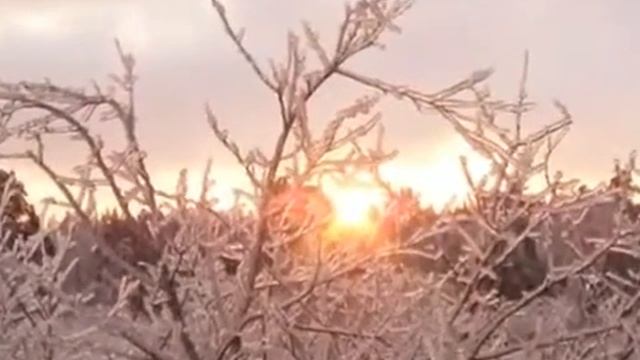 Еврейский взгляд на европейский новый год смотреть онлайн