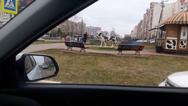 Необычные автомобили мира