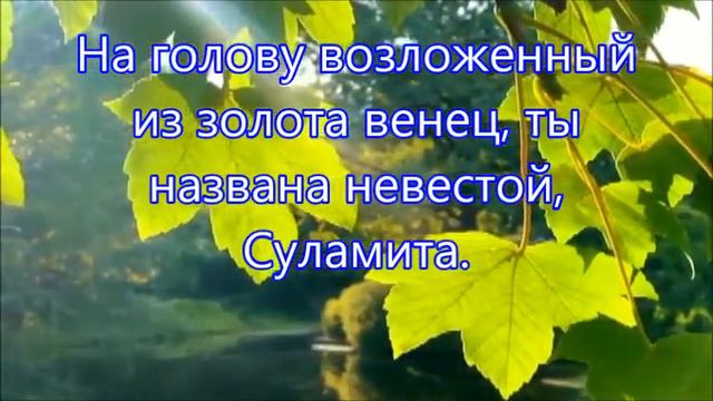 Воздам хвалу и славу Великому Творцу смотреть онлайн