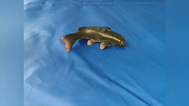 Речные рыбы для детей. Сом. смотреть онлайн