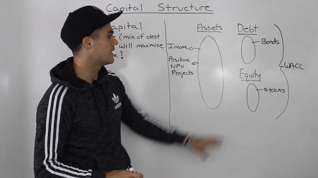 FIN 401 - Capital Structure Overview - Ryerson University смотреть онлайн