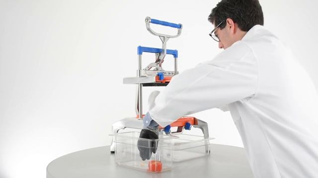 Saber King™ Томаты. Нарезка кубиками смотреть онлайн