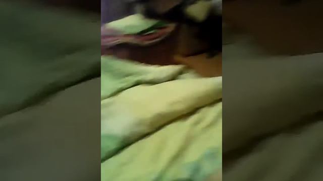 Моя камера у тёщи