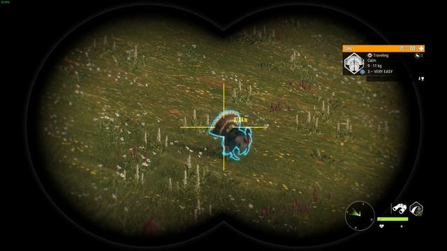 Diamond Strutting Turkey | how to get them Strutting and Gobbling | theHunter Call of the Wild смотреть онлайн