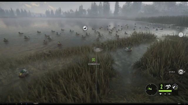 How to decoy duck in The Hunter Call Of The Wild | DUCK & COVER | Gameplay смотреть онлайн