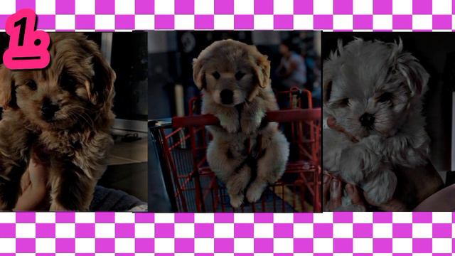 Вы сами можете написать 😱в комментариях на что мне сделать туториал 💗#туториал #алайтмоушен смотреть онлайн