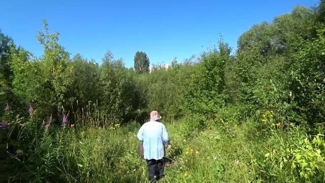 В лог в заброшенные сады 22 июля 2022. Пермь. смотреть онлайн