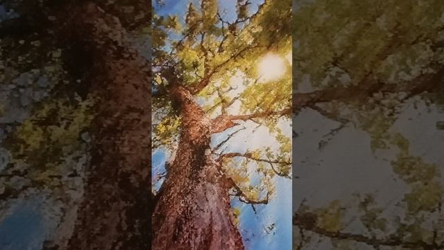 практики" Перезапись матриц Души и личности " и " Обновление Родового Древа" смотреть онлайн