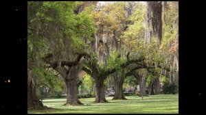 Джиперс Криперс 4 - В ожидании чуда. Jeepers Creepers Reborn
