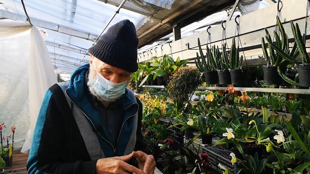 la luce è una delle cose più importanti per le orchidee, ma quale luce, quanta e come si misura смотреть онлайн