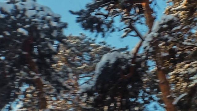 Anamorphic Lens VORMAXLENS Budget 1,33x Sc Wide +LUT+stab