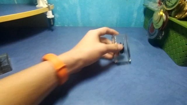 Моя коллекция жуков. Насекомые и их знакомые. смотреть онлайн