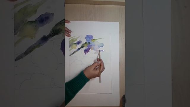 Этюд цветов. Акварель. 4класс смотреть онлайн