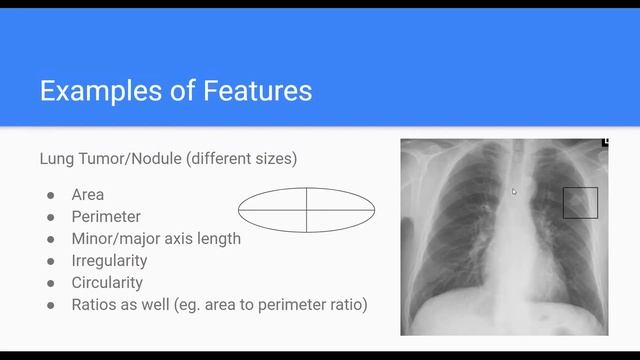Biomedical Image Analysis: Computational Biology 11/22/20 смотреть онлайн