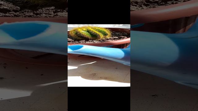 друг мне подарил подарок (часть 1) смотреть онлайн