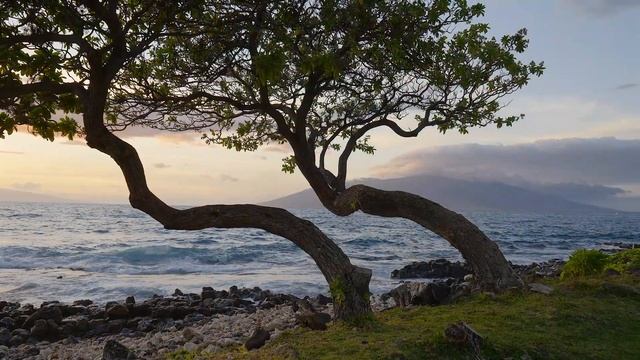 MIX BACHATA 2023 | FAMOUS LATIN BACHATA 2023 | RELAXING BACHATA MUSIC | LATIN MIX 2023