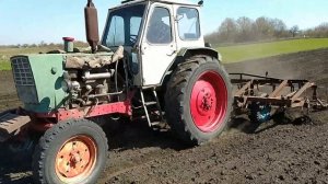 КУЛЬТИВАЦИЯ ОГОРОДА ТРАКТОРОМ ЮМЗ-6