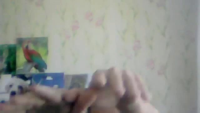 Видео с веб-камеры. Дата: 5 мая 2014 г., 12:41.