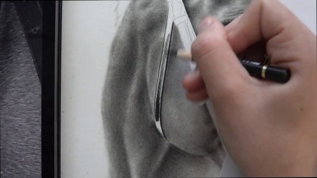 DRAWING A REALISTIC HORSE WITH ONE PENCIL?! смотреть онлайн
