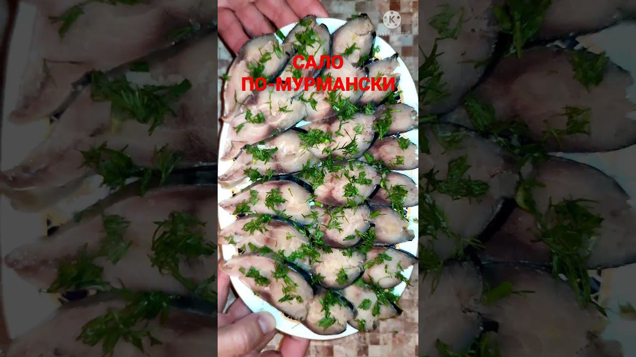 18 декабря 2021 г. смотреть онлайн