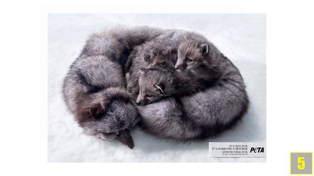 8 ЭФФЕКТНЫХ ПРИМЕРОВ РЕКЛАМЫ - Которые Нужно Видеть! ? смотреть онлайн