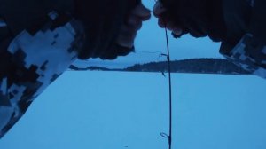 Ловля судака в заливах. Зимняя рыбалка в Финляндии. Panoptix Livescope. Рыбалка с Корейцем.