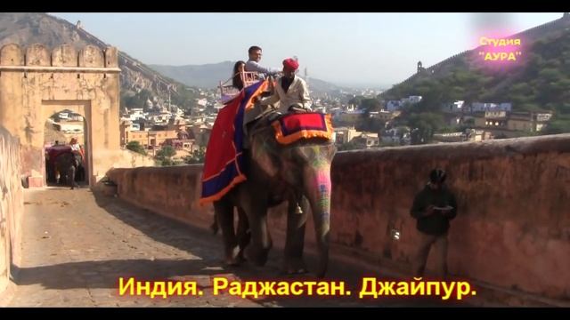 Слоны в храмах Индии смотреть онлайн