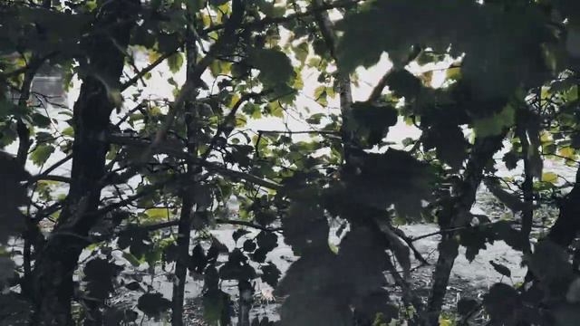 VID 20230612 171311 Возвращение Короля (Морис Карем)...Павел Васильев Лахтинский смотреть онлайн