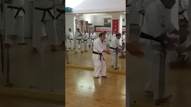 KARATE KYUDOKAN HIGA TE смотреть онлайн