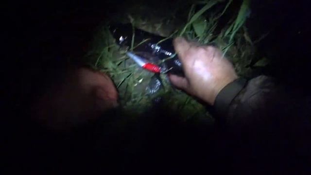 Рыбалка на спиннинг. Ловля судака на воблер с берега. смотреть онлайн