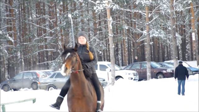 Тулпар смотреть онлайн