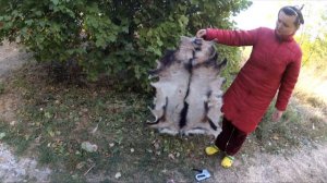 ВЫДЕЛКА шкур от А до Я. Кроличья, козья, овечья.