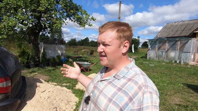 Поиск мульчи для голубики смотреть онлайн