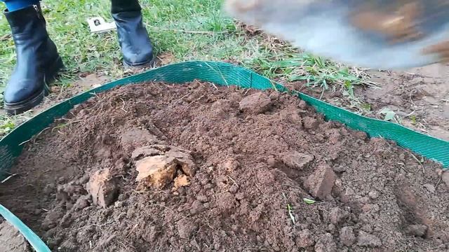 Осенние работы в огороде. Клумба перед домом в деревне. Что посадить под зиму. смотреть онлайн