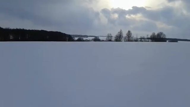 дикая мотособака смотреть онлайн