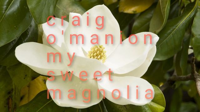 Craig O'Manion "My Sweet Magnolia" смотреть онлайн