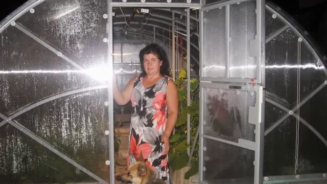 как я делал умную теплицу своими руками смотреть онлайн