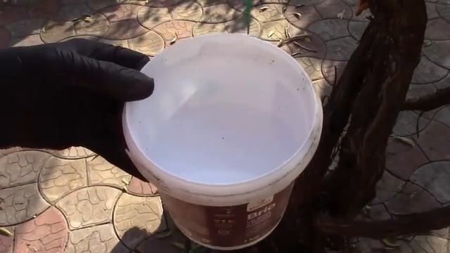 ТЫКВОЧКИ ГОРЛЯНКИ ЗАСИЯЮТ, ЕСЛИ... смотреть онлайн