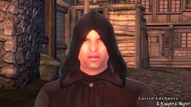 Accidentally Betraying The Dark Brotherhood смотреть онлайн