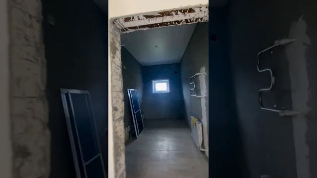 Сосна или ёлка? смотреть онлайн