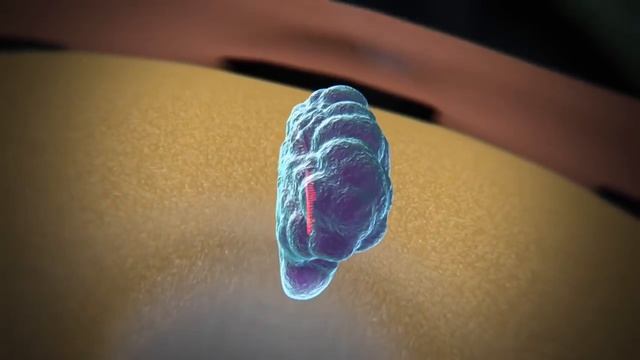 Редактирование генома при помощи CRISPR/Cas9 (Русская озвучка)