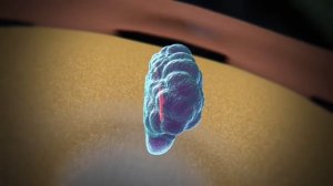 Редактирование генома при помощи CRISPR/Cas9 (Русская озвучка)