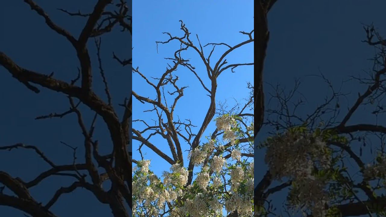 Как выглядит старость в моём понимании!#евпатория #природа #юмор смотреть онлайн