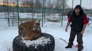 Инфинити и Тесла ! 3 Года !