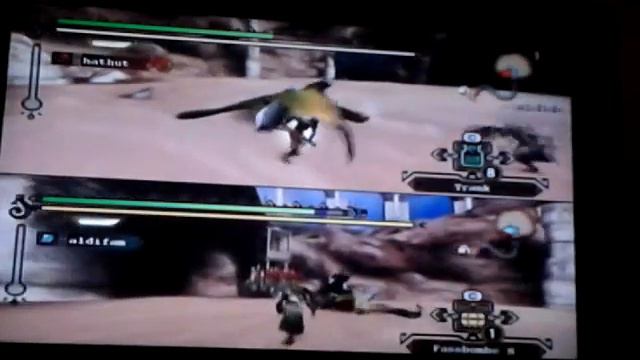 Lets Play together monster hunter tri #quropeco смотреть онлайн