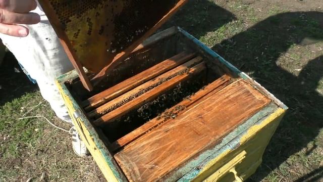 Весенняя подкормка пчел. Самый простой метод