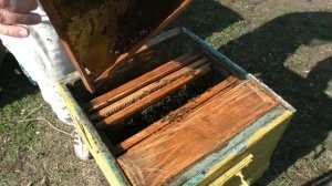 Весенняя подкормка пчел. Самый простой метод