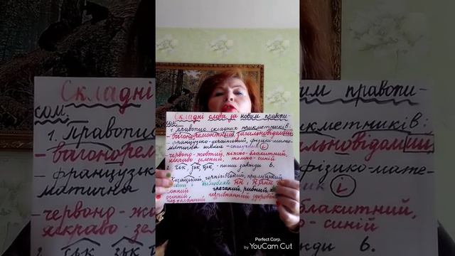 НАПИСАННЯ ПРИКМЕНТНИКІВ за НОВИМ ПРАВОПИСОМ. Частина 10 смотреть онлайн